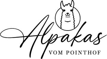 Alpakas vom Pointhof