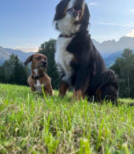 WhatsApp Bild 2025-06-13 um 19.27.55_1e57e306