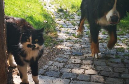 WhatsApp Bild 2025-06-13 um 19.27.55_463c23d7